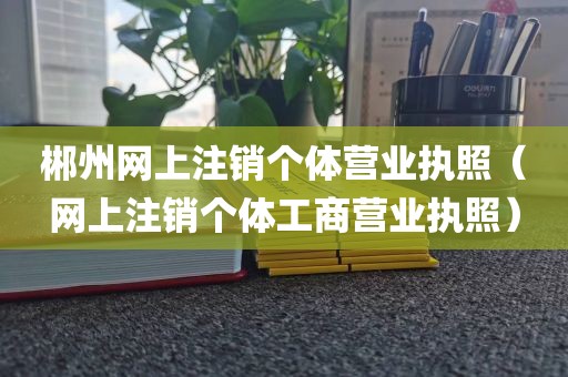 郴州网上注销个体营业执照（网上注销个体工商营业执照）
