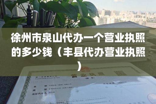 徐州市泉山代办一个营业执照的多少钱（丰县代办营业执照）