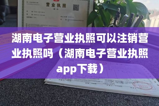 湖南电子营业执照可以注销营业执照吗（湖南电子营业执照app下载）