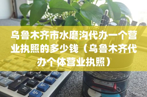 乌鲁木齐市水磨沟代办一个营业执照的多少钱（乌鲁木齐代办个体营业执照）