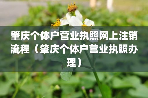 肇庆个体户营业执照网上注销流程（肇庆个体户营业执照办理）