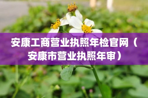 安康工商营业执照年检官网（安康市营业执照年审）