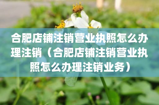 合肥店铺注销营业执照怎么办理注销（合肥店铺注销营业执照怎么办理注销业务）