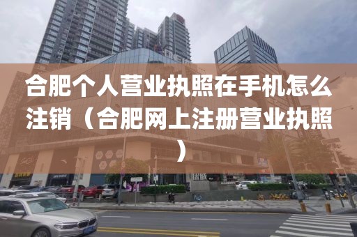 合肥个人营业执照在手机怎么注销（合肥网上注册营业执照）