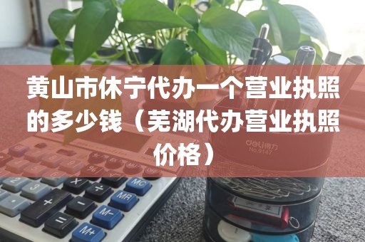 黄山市休宁代办一个营业执照的多少钱(芜湖代办营业执照价格)