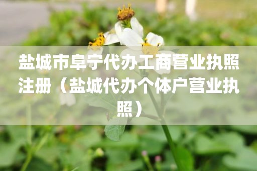 盐城市阜宁代办工商营业执照注册(盐城代办个体户营业执照)
