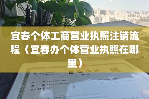宜春个体工商营业执照注销流程(宜春办个体营业执照在哪里)