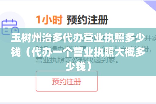 玉树州治多代办营业执照多少钱（代办一个营业执照大概多少钱）
