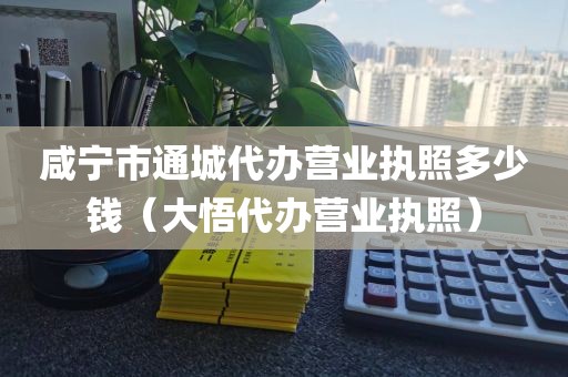 咸宁市通城代办营业执照多少钱（大悟代办营业执照）