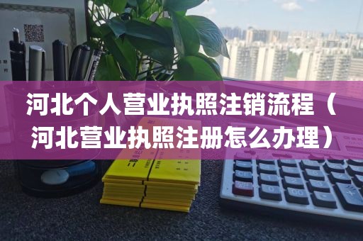河北个人营业执照注销流程（河北营业执照注册怎么办理）