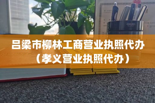 吕梁市柳林工商营业执照代办（孝义营业执照代办）