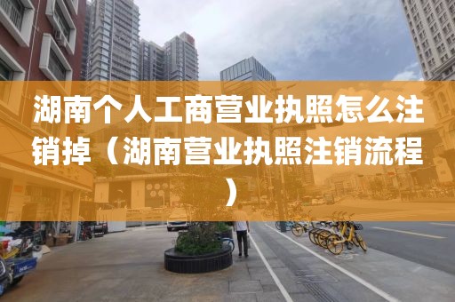 湖南个人工商营业执照怎么注销掉（湖南营业执照注销流程）