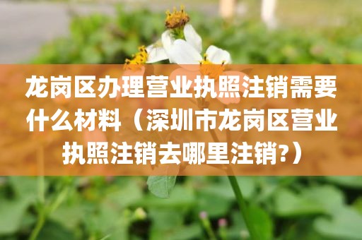 龙岗区办理营业执照注销需要什么材料(深圳市龙岗区营业执照注销去哪里注销?)