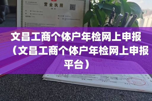 文昌工商个体户年检网上申报（文昌工商个体户年检网上申报平台）