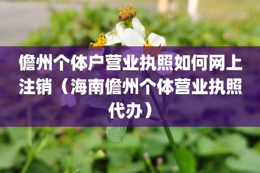 儋州个体户营业执照如何网上注销（海南儋州个体营业执照代办）