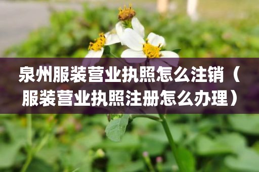 泉州服装营业执照怎么注销（服装营业执照注册怎么办理）