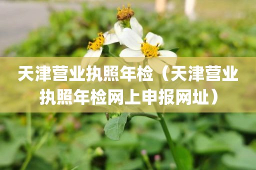 天津营业执照年检（天津营业执照年检网上申报网址）