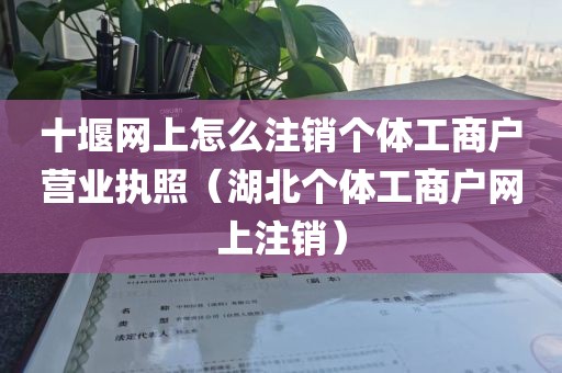 十堰网上怎么注销个体工商户营业执照（湖北个体工商户网上注销）