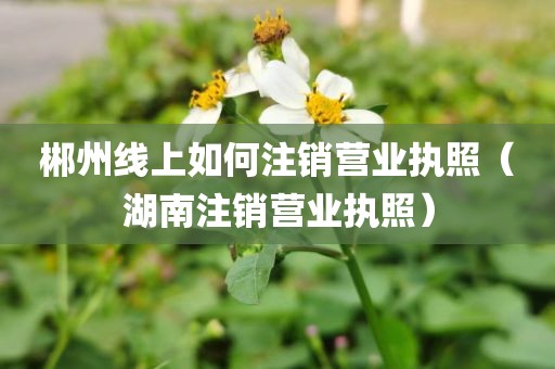 郴州线上如何注销营业执照（湖南注销营业执照）