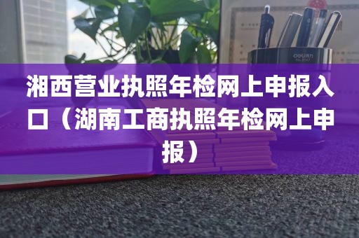 湘西营业执照年检网上申报入口（湖南工商执照年检网上申报）
