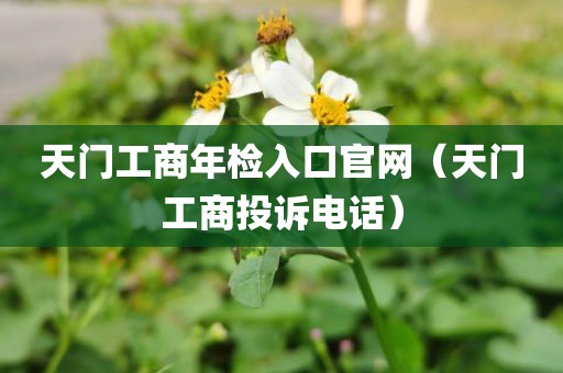 天门工商年检入口官网（天门工商投诉电话）
