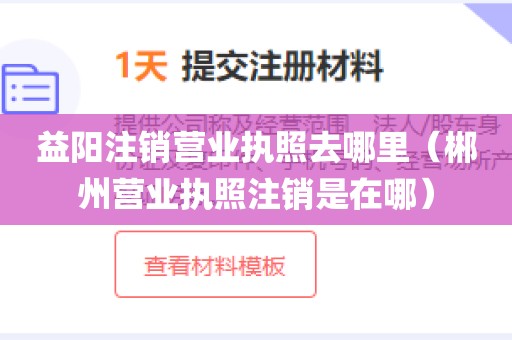 益阳注销营业执照去哪里（郴州营业执照注销是在哪）
