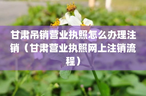 甘肃吊销营业执照怎么办理注销（甘肃营业执照网上注销流程）