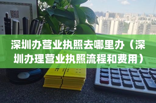 深圳办营业执照去哪里办（深圳办理营业执照流程和费用）