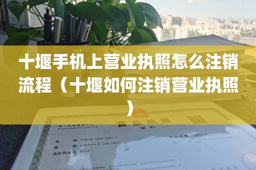 十堰手机上营业执照怎么注销流程（十堰如何注销营业执照）
