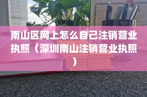 南山区网上怎么自己注销营业执照（深圳南山注销营业执照）