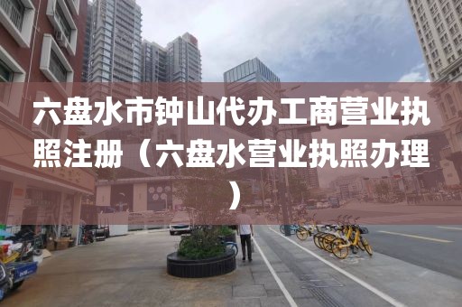 六盘水市钟山代办工商营业执照注册（六盘水营业执照办理）