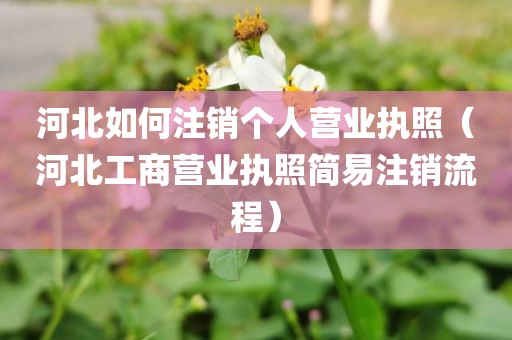 河北如何注销个人营业执照（河北工商营业执照简易注销流程）