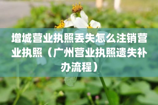 增城营业执照丢失怎么注销营业执照（广州营业执照遗失补办流程）