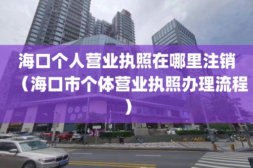 海口个人营业执照在哪里注销(海口市个体营业执照办理流程)