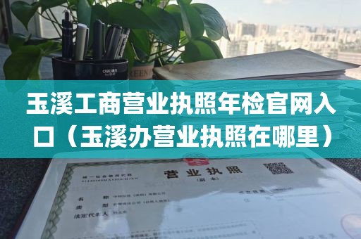 玉溪工商营业执照年检官网入口（玉溪办营业执照在哪里）