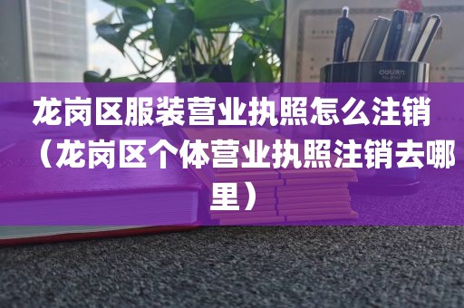 龙岗区服装营业执照怎么注销（龙岗区个体营业执照注销去哪里）