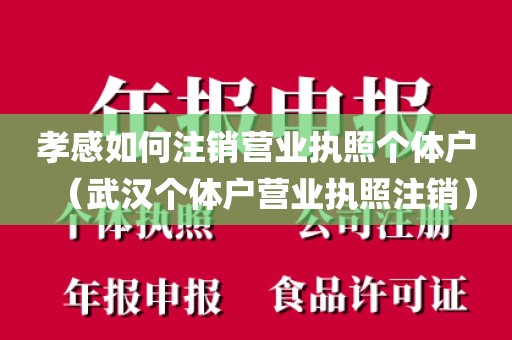 孝感如何注销营业执照个体户（武汉个体户营业执照注销）