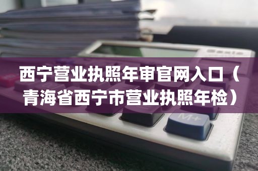 西宁营业执照年审官网入口（青海省西宁市营业执照年检）