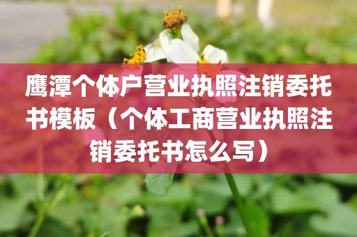 鹰潭个体户营业执照注销委托书模板（个体工商营业执照注销委托书怎么写）