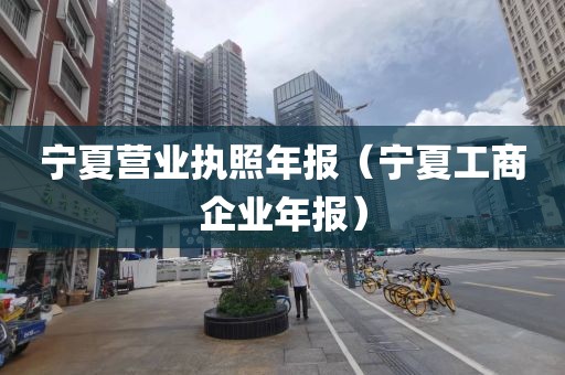 宁夏营业执照年报（宁夏工商企业年报）