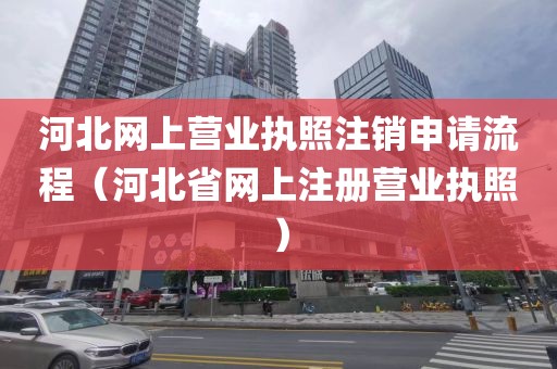 河北网上营业执照注销申请流程（河北省网上注册营业执照）