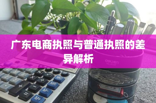 广东电商执照与普通执照的差异解析