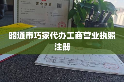 昭通市巧家代办工商营业执照注册
