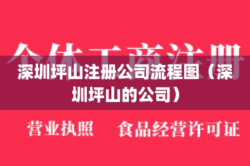 深圳坪山注册公司流程图(深圳坪山的公司)
