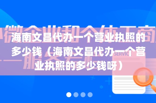 海南文昌代办一个营业执照的多少钱（海南文昌代办一个营业执照的多少钱呀）