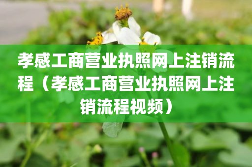 孝感工商营业执照网上注销流程（孝感工商营业执照网上注销流程视频）