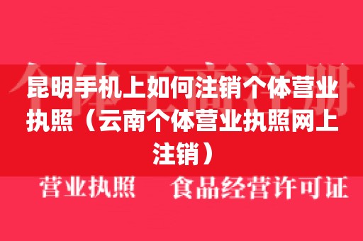 昆明手机上如何注销个体营业执照（云南个体营业执照网上注销）
