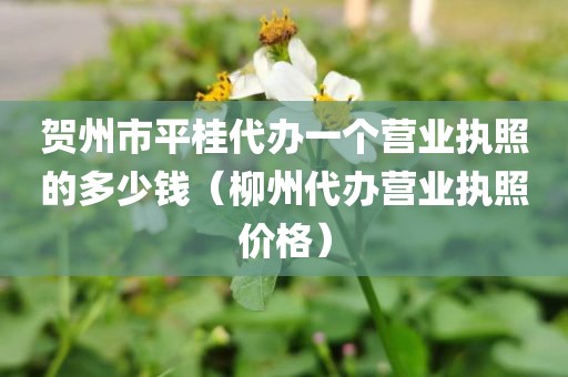 贺州市平桂代办一个营业执照的多少钱（柳州代办营业执照价格）