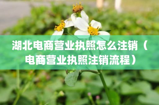 湖北电商营业执照怎么注销（电商营业执照注销流程）