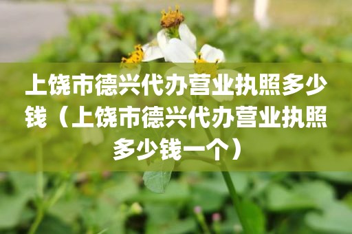 上饶市德兴代办营业执照多少钱（上饶市德兴代办营业执照多少钱一个）